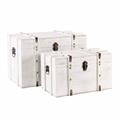 Baule in mdf sbiancato 54X36H36 in set di 2