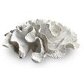 DECORAZIONE SPUGNA DI MARE BIANCA CM 24X20H10