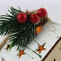 Casetta decorativa appendibile con led 8X8X12
