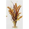 MAZZETTO ERBA E SPIGHE NATURALE cm 68