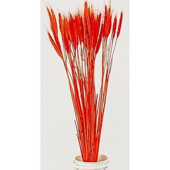 FIORI SPIGA ARANCIONI