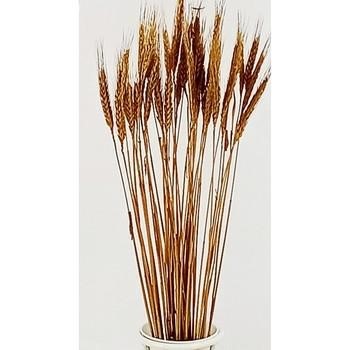 FIORI SPIGA ORO CM.65