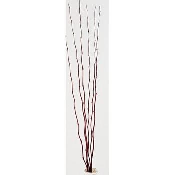 MAZZO BAMBOO MARR 6pz*MAZ