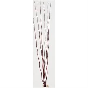 MAZZO BAMBOO MARR 6pz*MAZ