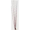MAZZO BAMBOO MARR 6pz*MAZ
