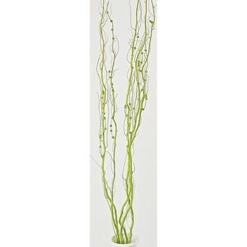 MAZZO SALICI PERLE VERDE 5pz X MAZZO CM 150