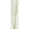 MAZZO SALICI PERLE VERDE 5pz X MAZZO CM 150