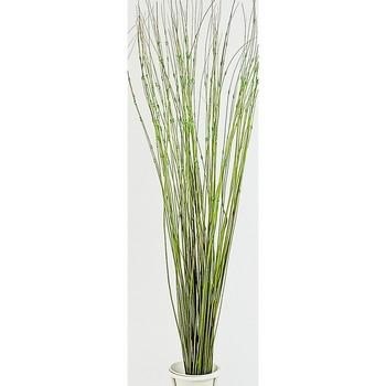 MAZZO TING-TING C.PERLE VER 80pz*MAZ CM 80