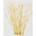 MAZZO BOUQUET RATTAN BIANCO CM 50