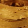 ROCCHETTO RAFIA PVC OCRA (H.15 mm x 200MT)
