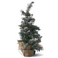 DEC. NATALIZIA ALBERO CON LUCI CM.DIAM.25H50