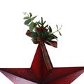 STELLA DECORATIVA METALLO ROSSA DA APPENDERE 39X57 MADE IN CHINA