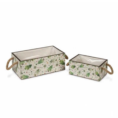 Cassetta abete  alberi 2 man. corda + PL  29X15H11+22X12H10 S2