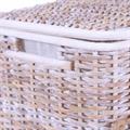 BAULE RATTAN JUTA RETT.FOD.65X40H42 S3 MADE PHILIPPINES