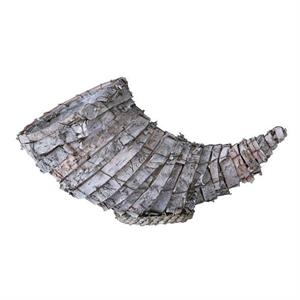 Cornucopia betulla con plastica interna diam.18 x 32