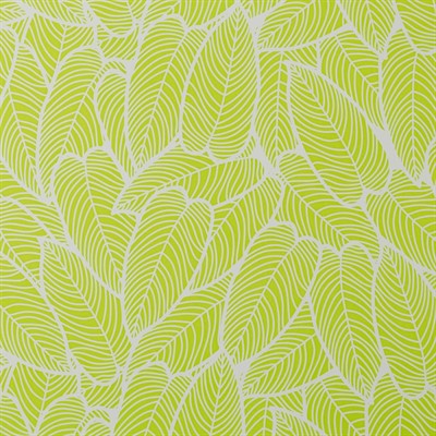 BUSTE PERLATE NATURA VERDE CHIARO CM 35X50  (50XCF)