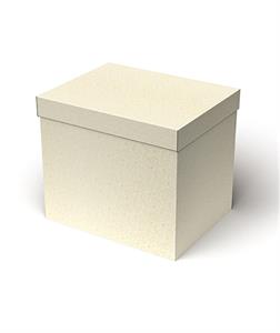 Scatola cartone 38,5x30H33 avorio fiori con coperchio