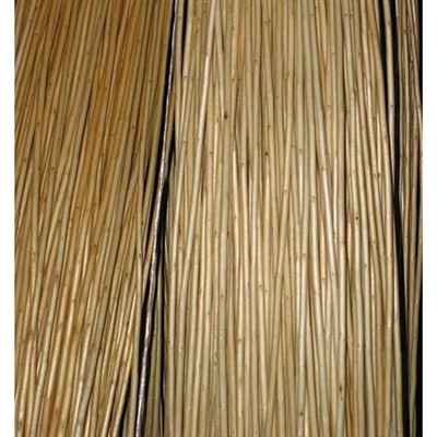 Vimini bianco 1° qualità H100 in fasce da 5 kg (prezzo a kg)