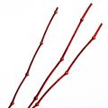 Bambù decorativo rosso H200