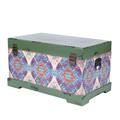 BAULE MDF FANTASIA VERDE 55X32H30 MADE IN CHINA