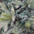 Decorazione Albero di Natale Clifford Ø142H180