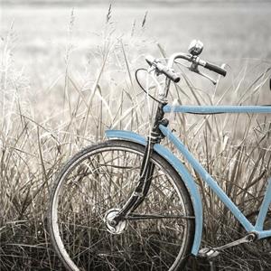 Quadro dipinto con bicicletta blu 60X60