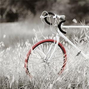 Quadro dipinto con bicicletta rossa 60X60