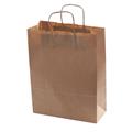 Shopper di carta 27x46 in confezione da 25