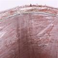 Portavaso corteccia e juta Ø19,5H15 in set di 3