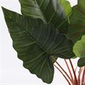 Pianta artificiale Colocasia H55