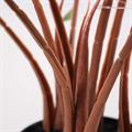 Pianta artificiale Colocasia H55