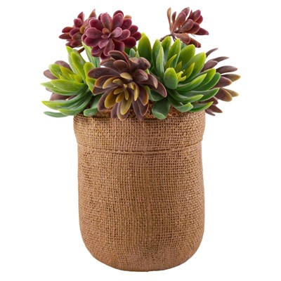 Pianta succulenta artificiale in vaso 19X15,5H21