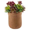 Pianta succulenta artificiale in vaso 19X15,5H21