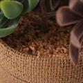 Pianta succulenta artificiale in vaso 19X15,5H21