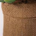Pianta succulenta artificiale in vaso 19X15,5H21