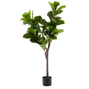 Pianta artificiale Ficus Lyrata H125