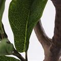 Pianta artificiale Ficus Lyrata H125