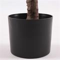 Pianta artificiale Ficus Lyrata H125