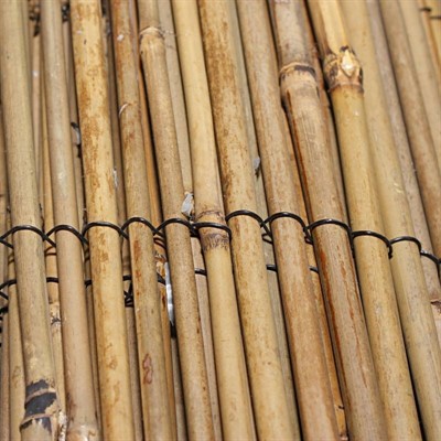 Stuoia in bambù con filo passante in nylon 150X300 