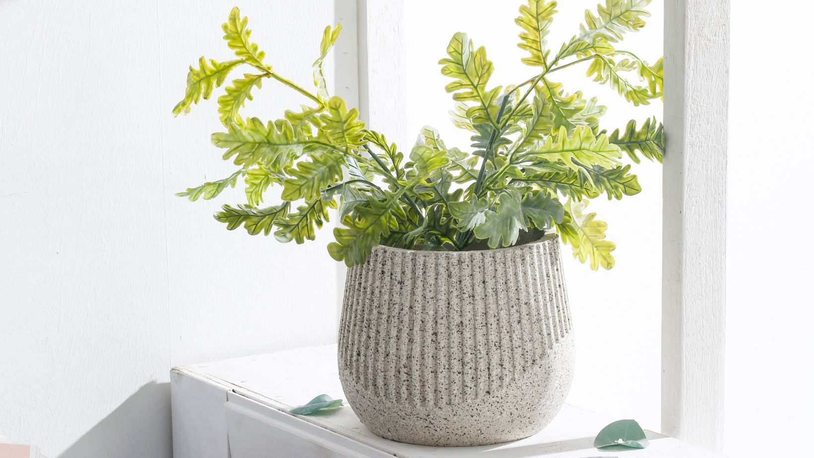 Portavasi in ceramica e fibrocemento